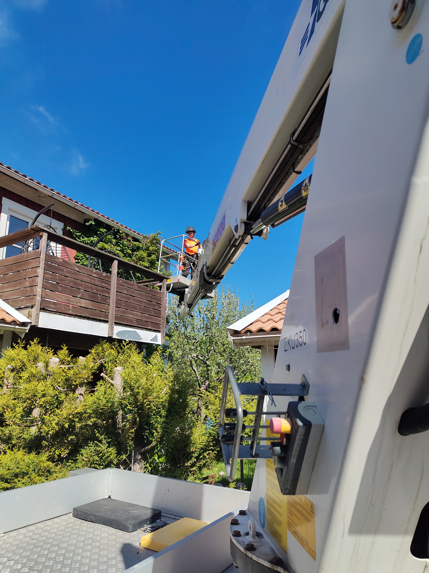 Vad är skillnaden mellan arborist och trädfällare? – Söderarboristen, arborist på Södermalm