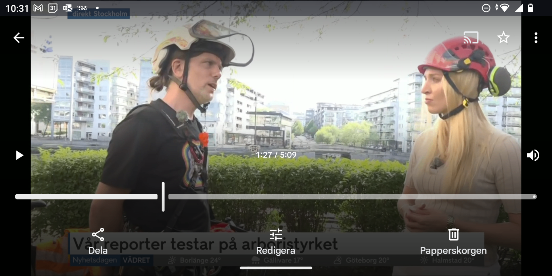TV4-reporter testar arboristyrket tillsammans med Mats från Söderarboristen